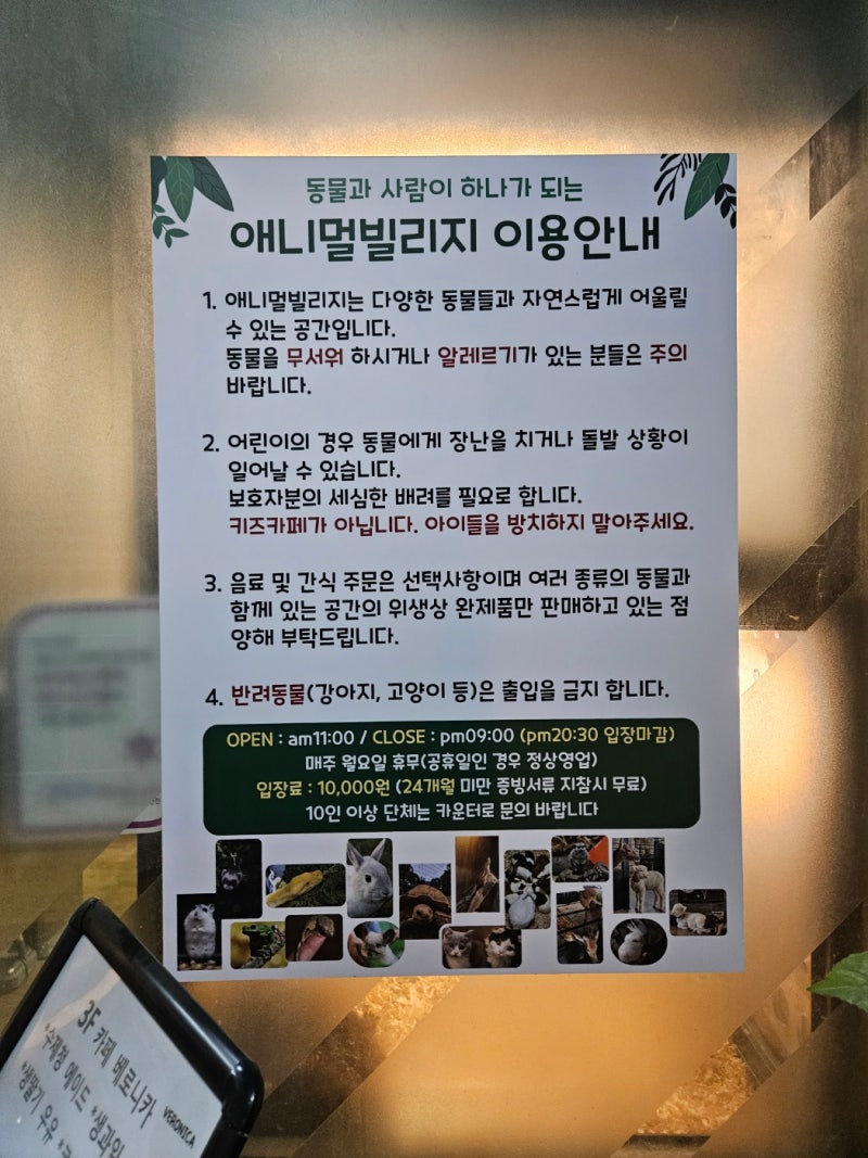 슈가의 가족찾기 : 하이바이분양소, image size:800x1067