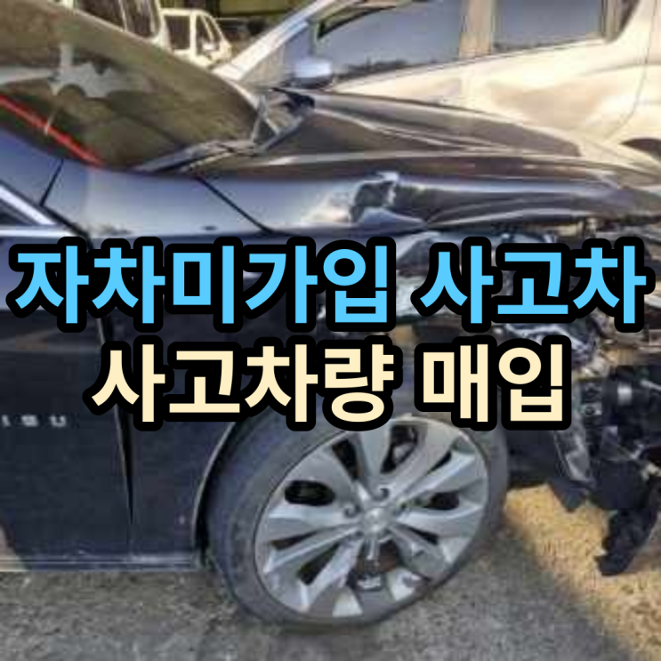  사고차량 매입 자차미가입 보험 보장 불가 사고차판매 부산