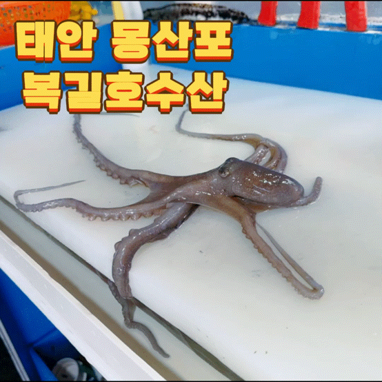  몽산포수산물은 여기! 복길호수산. 태안수산시장에서 회포장했어요!