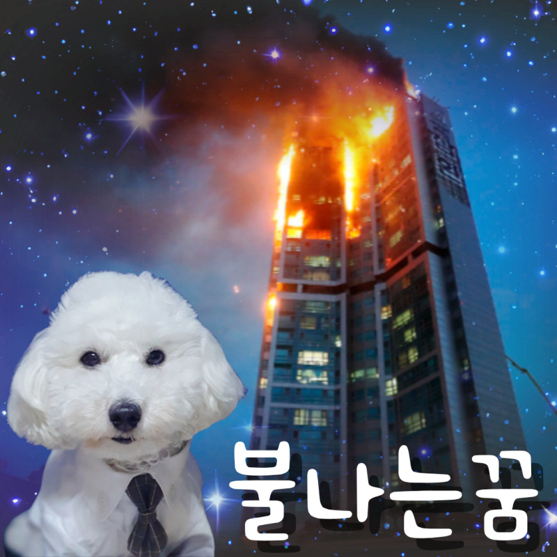 건물에 불나는 꿈 해몽은 흉몽 혹은 길몽?