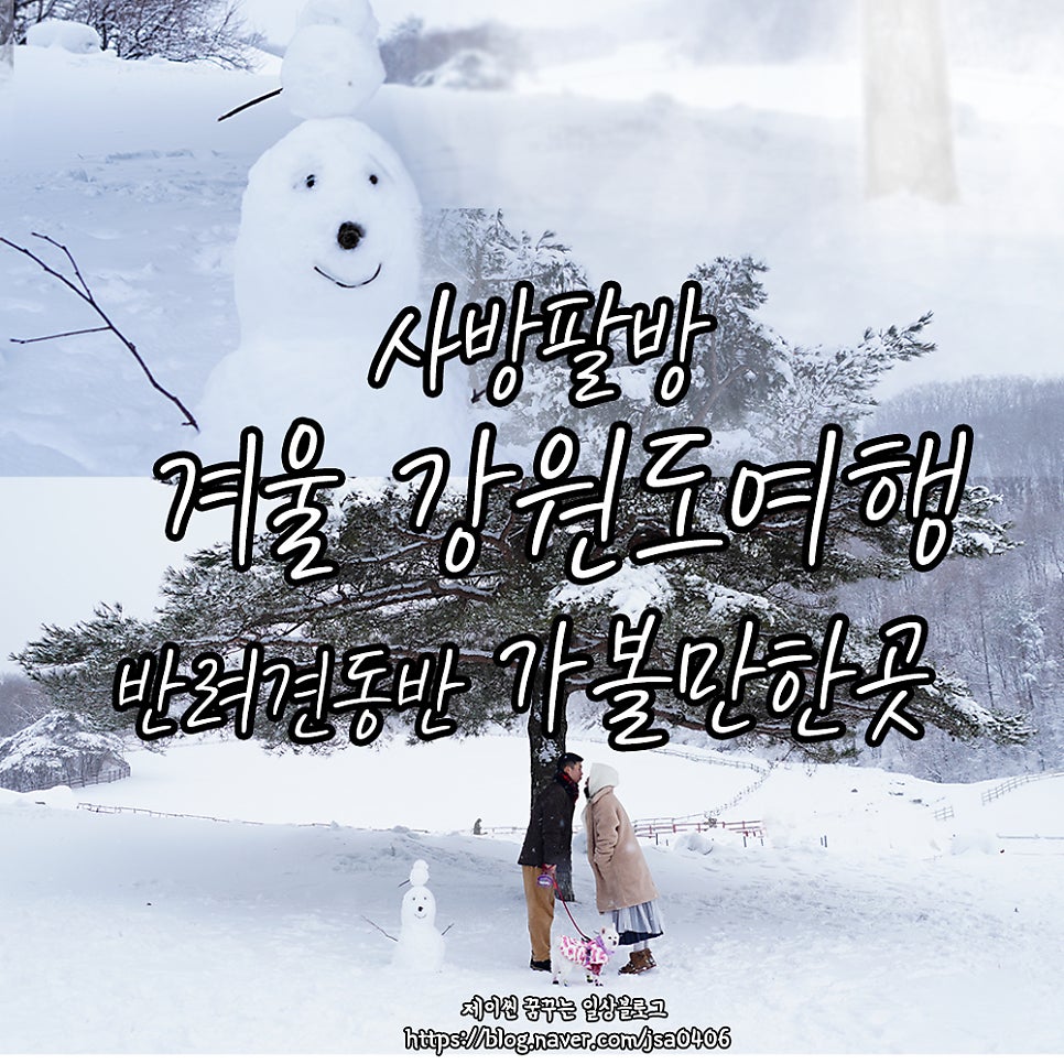 복골 사진 1