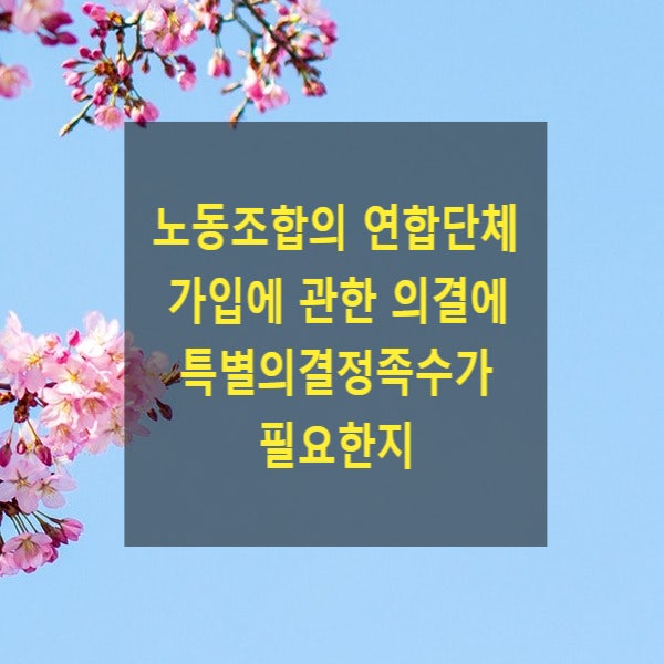  노동조합의 연합단체 가입에 관한 노동조합의 의결에 특별의결정족수가 필요한지