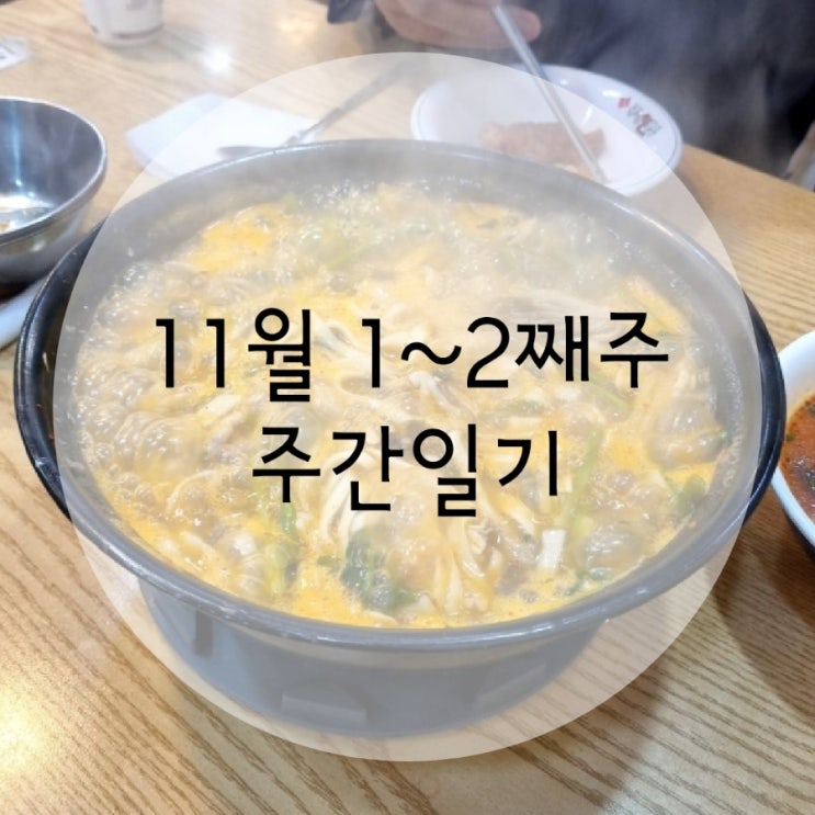 11월 1째주~2째주 주간일기 주말x
