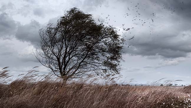 폭풍의 언덕(The hill of wild wind)