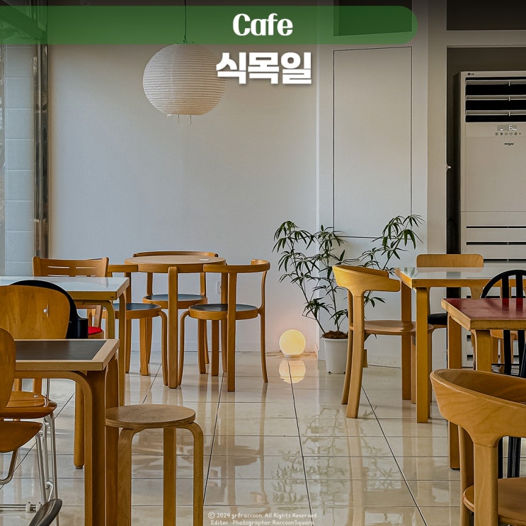 대구 삼덕동 신상카페 식목일 혼자만의 여유