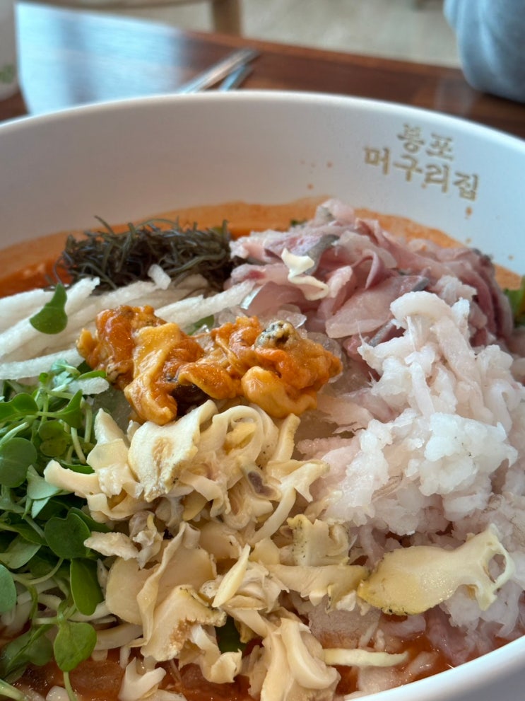  강원도 속초 여행 물회 맛집 봉포 머구리집 낭만 터지는 게스트하우스까지