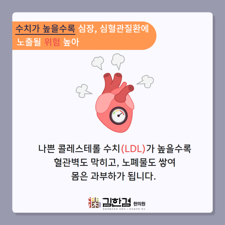  혈관 건강을 망치는 나쁜 콜레스테롤, 수치를 낮추는 음식으로 개선해 보세요.