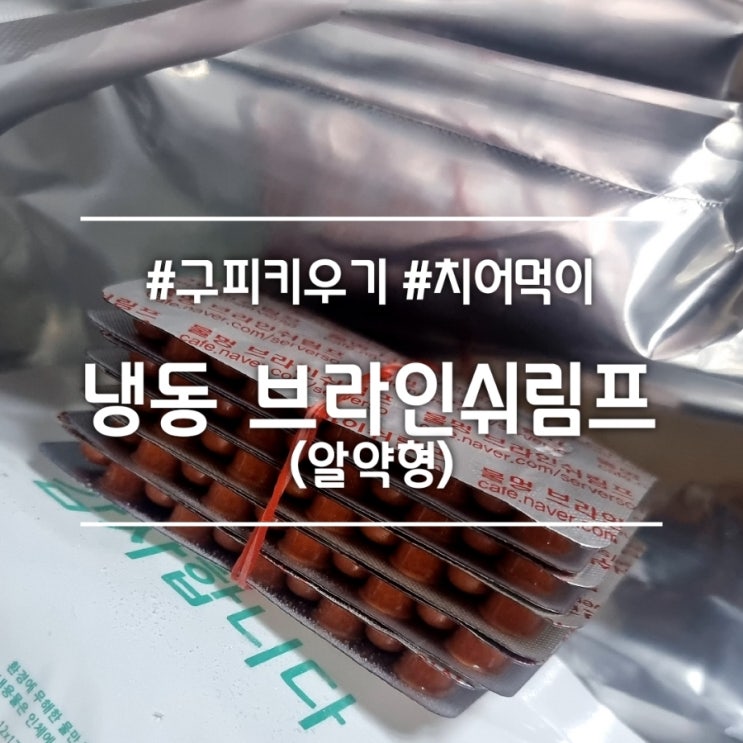  구피 키우기] 물멍 냉동 브라인쉬림프 알약형 || 간편한 열대어 구피 치어 먹이