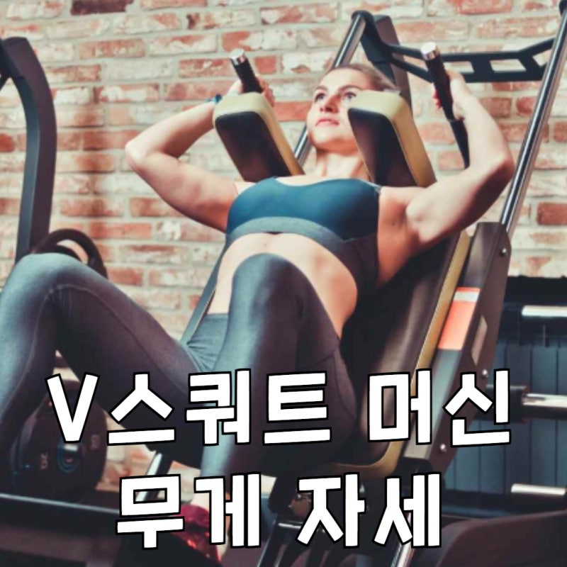 브이스쿼트 V스쿼트 머신 무게 자세