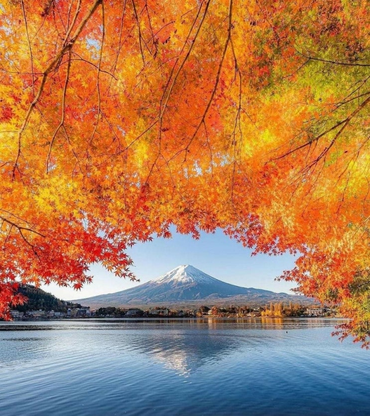   오늘의 생활정보 (2024-01-18, 목)