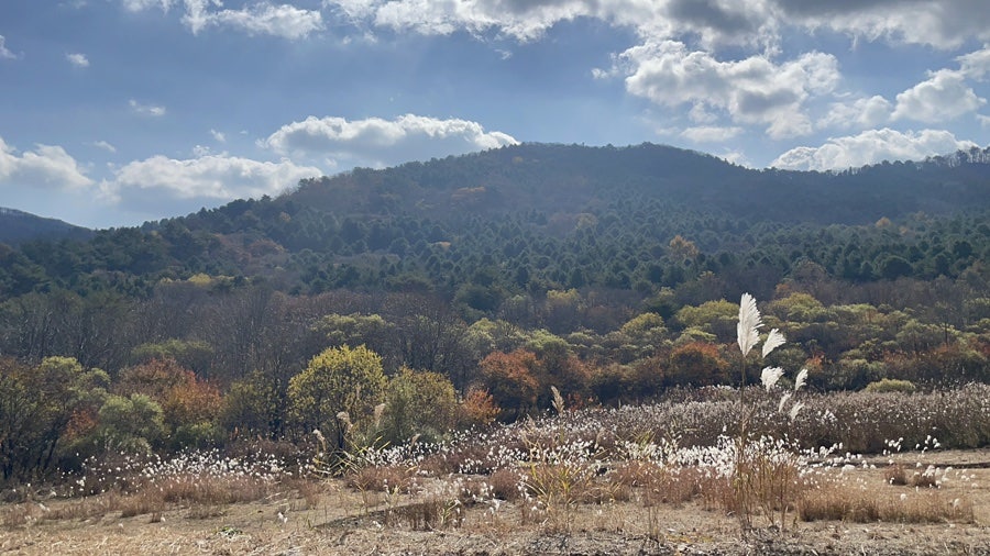 아이올라630 사진 5