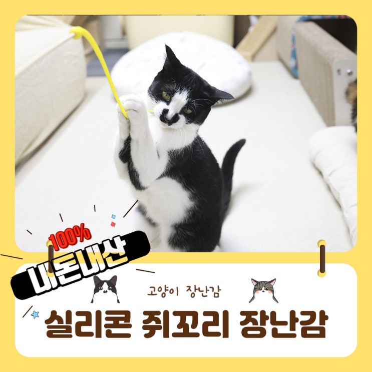  고양이 쥐꼬리 장난감 제가 사보았습니다.