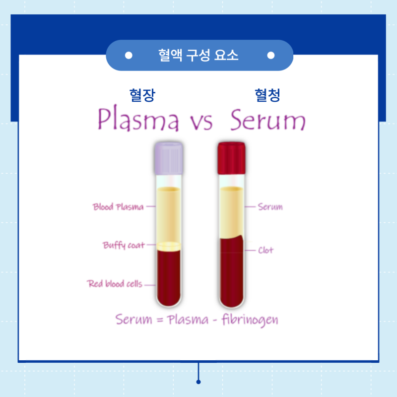 [용어사전] 전혈, 혈장, 혈청이란? : 네이버 블로그