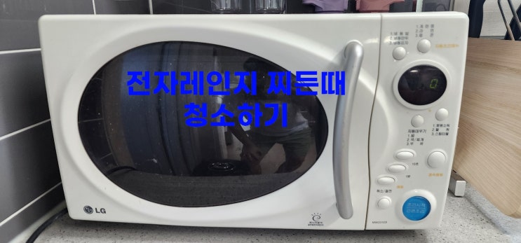 전자레인지 청소 :: 찌든때, 얼룩, 살균소독 청소 꿀팁!