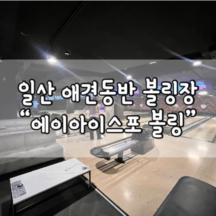  일산 애견동반 볼링장 / 일산 볼링장 / 에이아이스포 볼링 / 일산 에이아이스포 볼링 / 일산 애견동반 가볼만한 곳 / 내돈내산