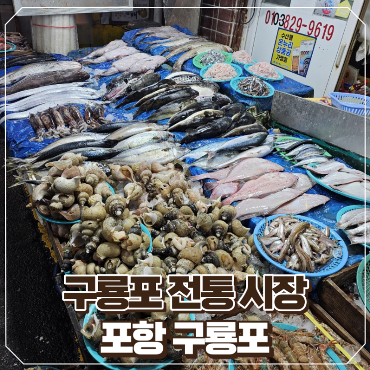 [포항/구룡포]구룡포 전통시장 다녀온 후기