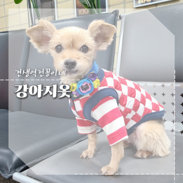  강아지옷 브랜드 키니키니 예쁜 누빔집업조끼 실내복으로도 편한 애견옷