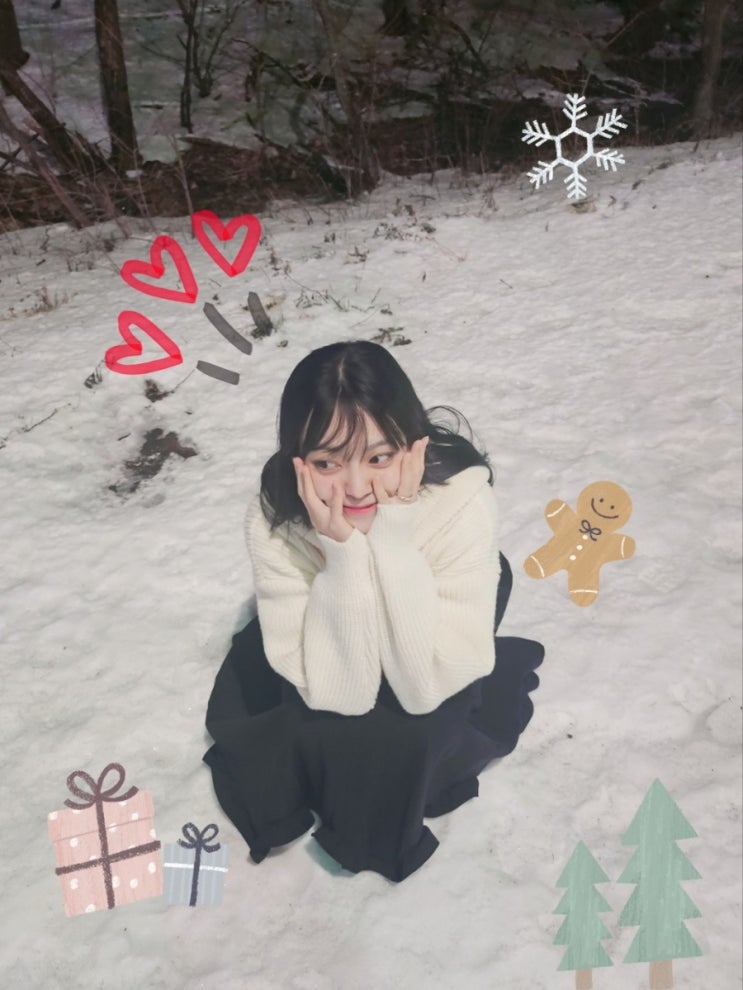  당일치기 속초 여행 : 또간집, 짐보관, 속초시장맛집, 물회맛집 등