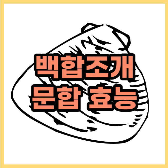  백합조개 껍데기 문합의 효능