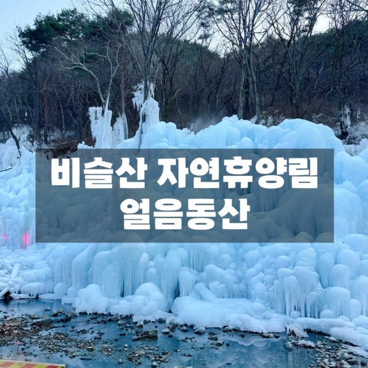  대구 겨울 드라이브 나들이 ｜비슬산 자연 휴양림 얼음동산