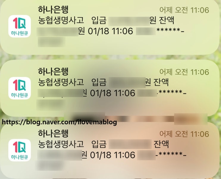 맘모톰 2일차 통증 수술 비용 모바일 실비보험 청구 지급