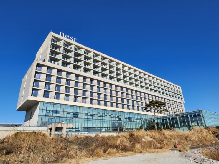  인천 영종도 네스트호텔 후기 룸서비스