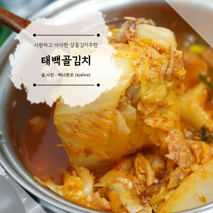 맛있는 김치 태백골김치로 참치김치찌개 만들어봤어요 맛있는 김치 태백골김치로 참치김치찌개 만들어봤어요