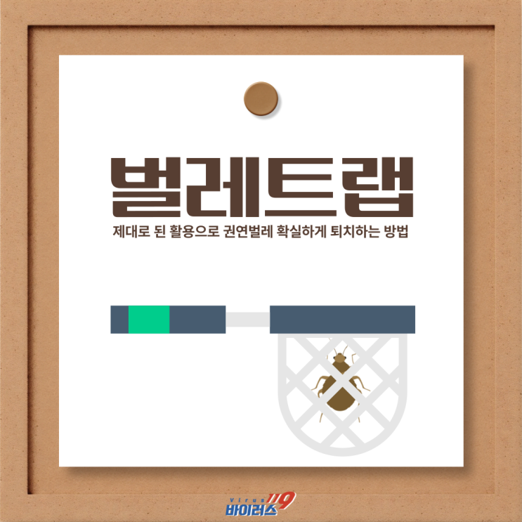  벌레트랩, 제대로 권연벌레를 퇴치하는 방법.
