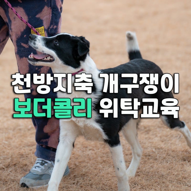 사진 2
