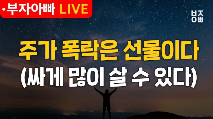 주가 폭락은 선물이다 (싸게 많이 살 수 있다) 주가 폭락은 선물이다 (싸게 많이 살 수 있다)