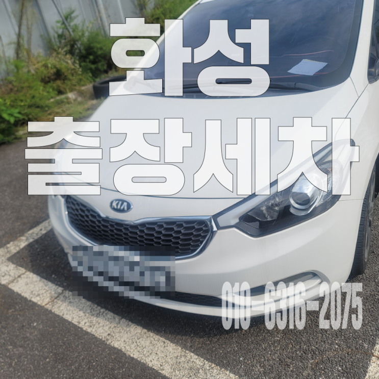  화성출장세차 자동차 빗물 침수차 물기 곰팡이 얼룩 냄새 제거 후기!