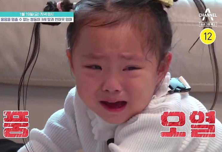 금쪽같은 내새끼 미디어 중독 쌍둥이 발달에 치명적 당장 멈춰 금쪽같은 내새끼 미디어 중독 쌍둥이 발달에 치명적 당장 멈춰