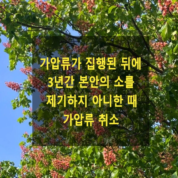  가압류가 집행된 뒤에 3년간 본안의 소를 제기하지 아니한 때 가압류 취소
