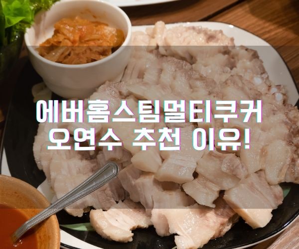 에버홈스팀멀티쿠커 오연수 추천 이유!