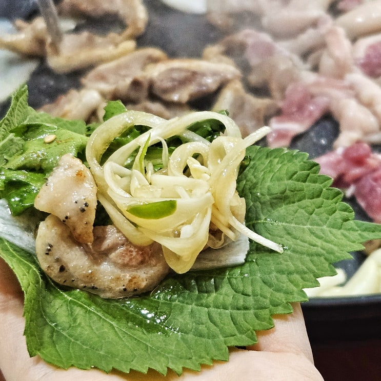 부산 거제동 청둥오리전문점 정원오리촌 소금구이 양념구이 주문 부산 거제동 청둥오리전문점 정원오리촌 소금구이 양념구이 주문