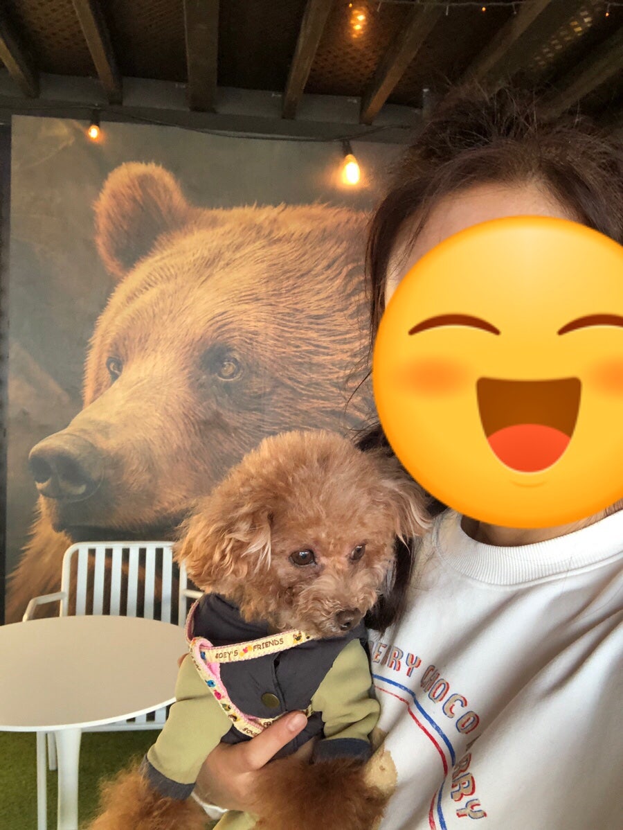 빈어스 사진 4