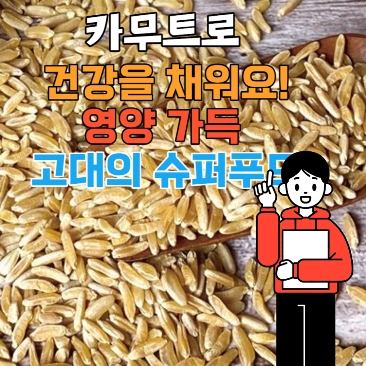  카무트 영양과 효능부터 조리법까지