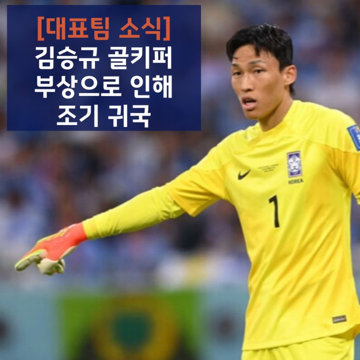 한국축구대표팀 골키퍼 <b>김승규</b> 선수 십자인대 <b>부상</b>으로 인해... 