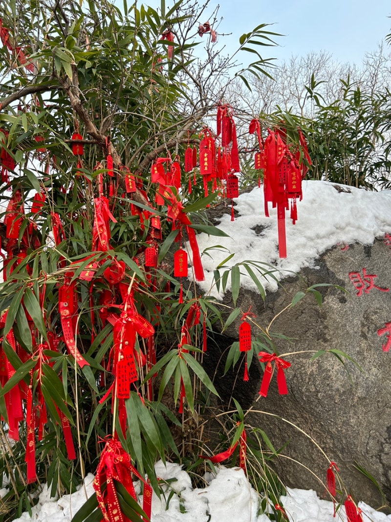 중국여행🇨🇳 #3] 클럽코인여행 패키지 페리투어 3일차 : 장유와인 카스터 장원 | 연태산 공원 | 소성리 옛거리 | 월량만  달할아버지 | 옌타이 베스트웨스턴 호텔 후기 : 네이버 블로그