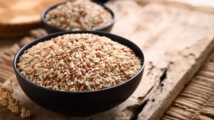 현미쌀 주요 구성성분과 효능 참새도 먼저 먹네요