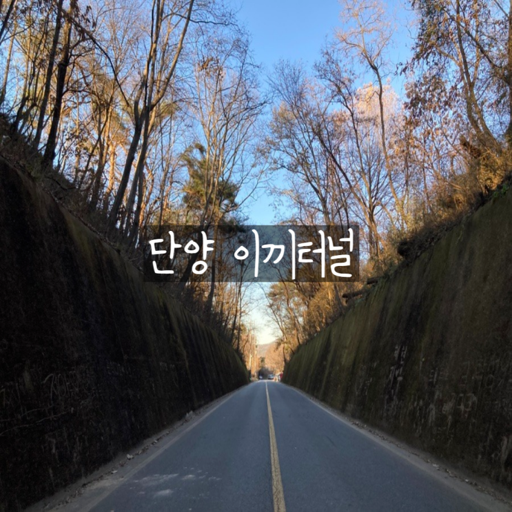충북 단양 이끼터널 포토존 겨울 방문 후기 주차장 정보