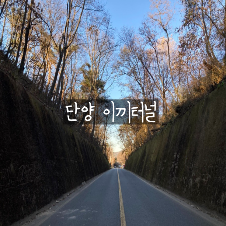  충북 단양 이끼터널 포토존 겨울 방문 후기 주차장 정보