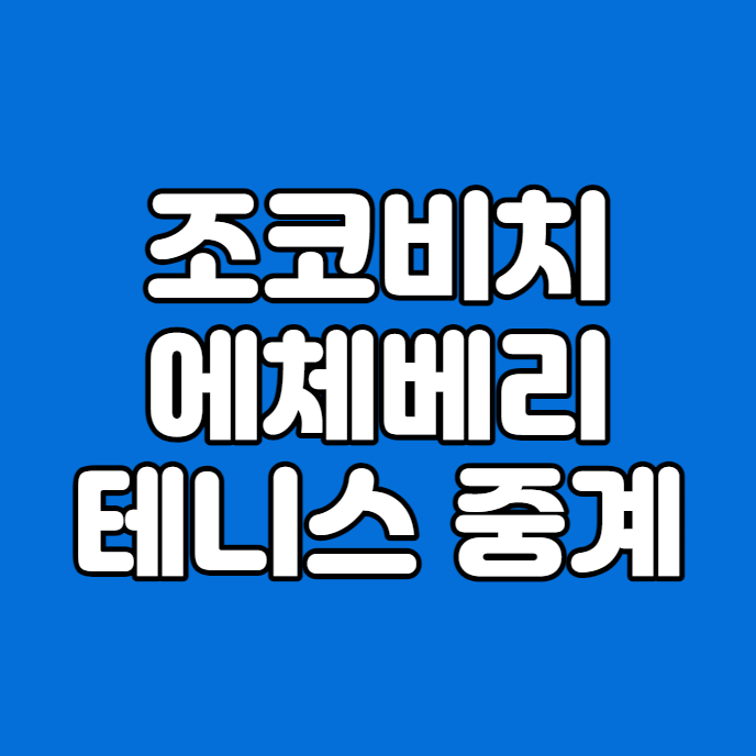 조코비치 에체베리 중계 방송2024 호주오픈 테니스 생중계... 