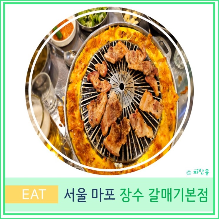  서울 마포 공덕역 갈매기 골목 맛집 장수 갈매기 본점 노포