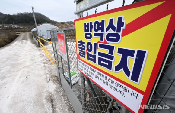 광주 기러기농장 '9년만' <b>고병원성 AI 발생</b> 비상체제 가동