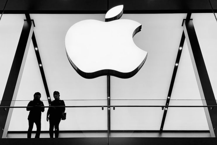 애플 인앱결제(in-app purchase) 독과점 금지, 앱스토어 시장 열린다 애플 인앱결제(in-app purchase) 독과점 금지, 앱스토어 시장 열린다