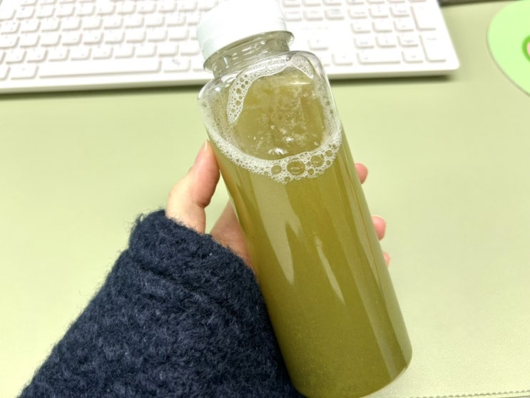  샐러리 사과 주스 내돈내산 일주일치 구입 맛후기