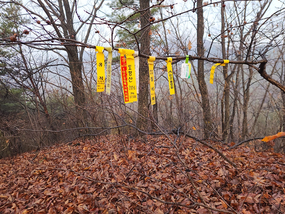 도망산 사진 1