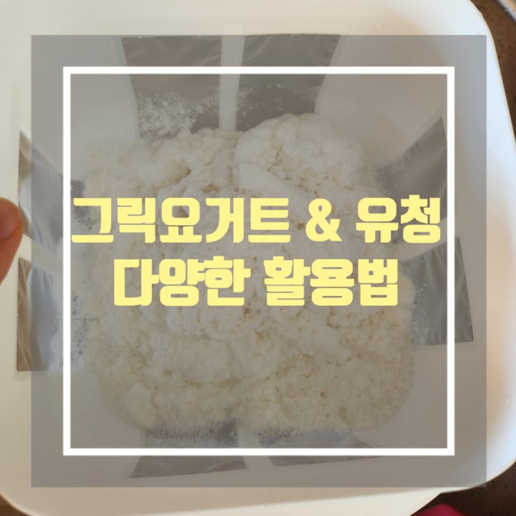그릭요거트 & 유청 맛있는 활용법 모음 그릭요거트 & 유청 맛있는 활용법 모음
