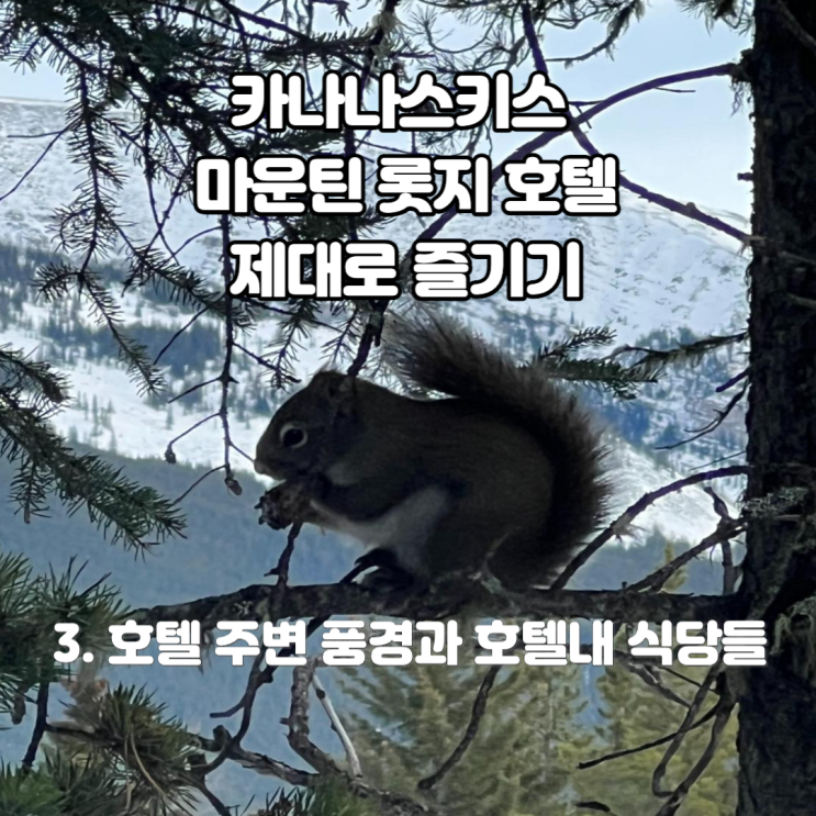  카나나스키스 마운틴 롯지 오토그라프 컬렉션 MARRIOTT 호텔 주변 로키산 풍경과 스케이트장 마켓 카페